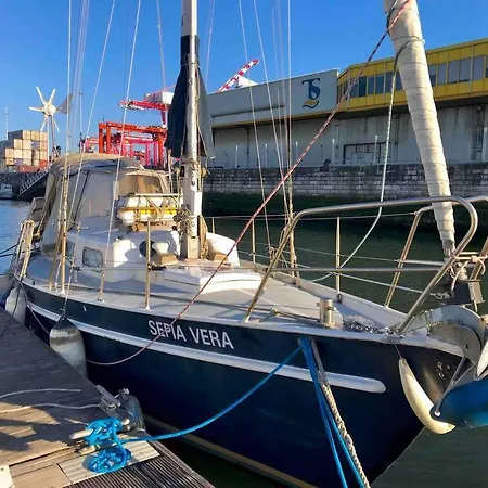 Cozy Marina Sleepaboard - Sail Away